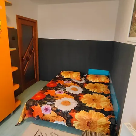 Central City Park Apartment